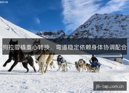 狗拉雪橇重心转换，弯道稳定依赖身体协调配合